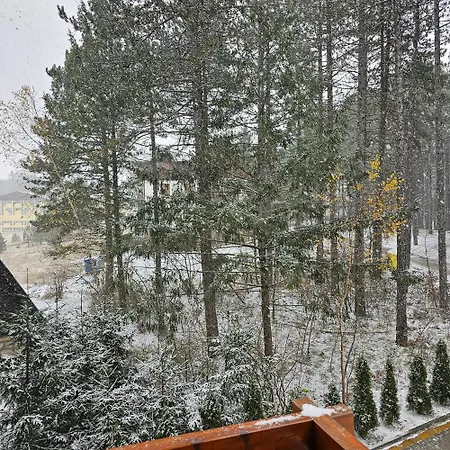 Pineta Appartamento Zlatibor