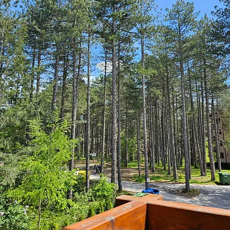 Pineta Appartamento *