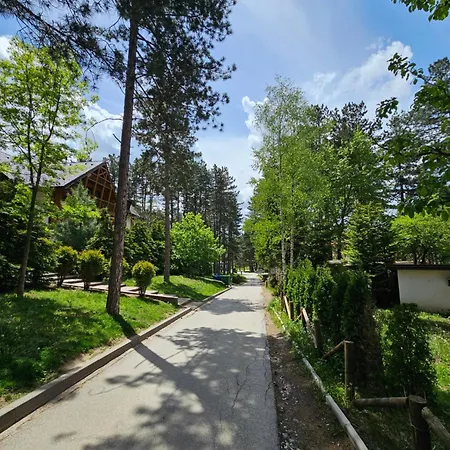 Pineta