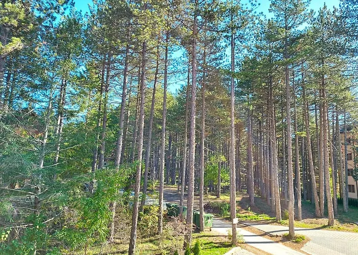 Pineta * Zlatibor