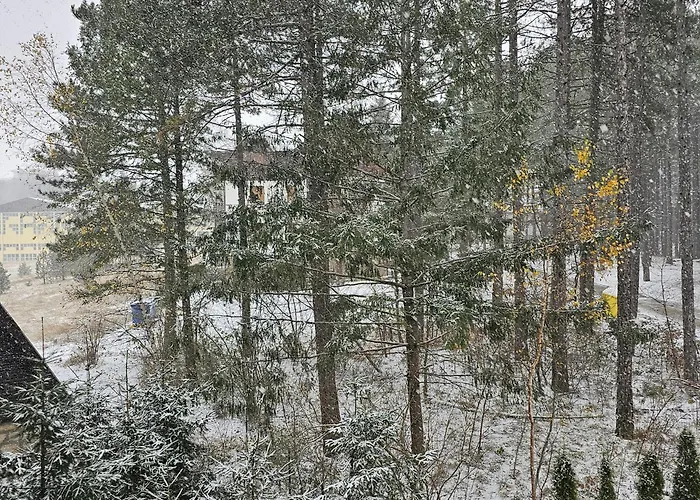 Pineta Apartament Zlatibor